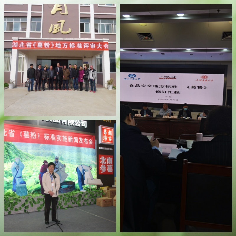 1743746899866031.jpg 《葛粉》標(biāo)準(zhǔn)的制定.jpg