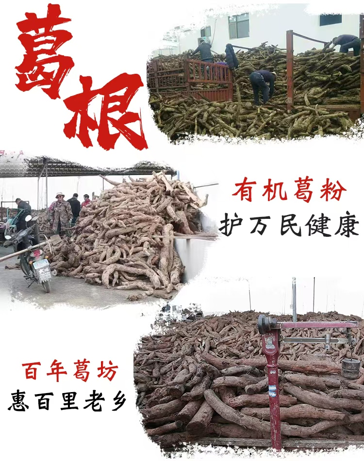 1750056440458813.jpg 收葛根圖.jpg