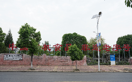 當(dāng)定制葛粉時(shí)，我們真正在選擇什么？