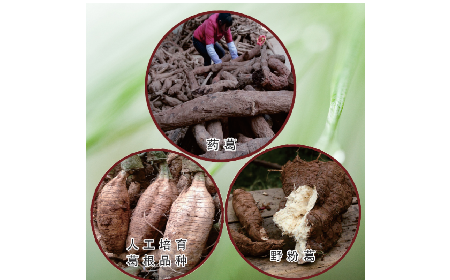 買葛粉是買野生的好？還是野生有機的好？